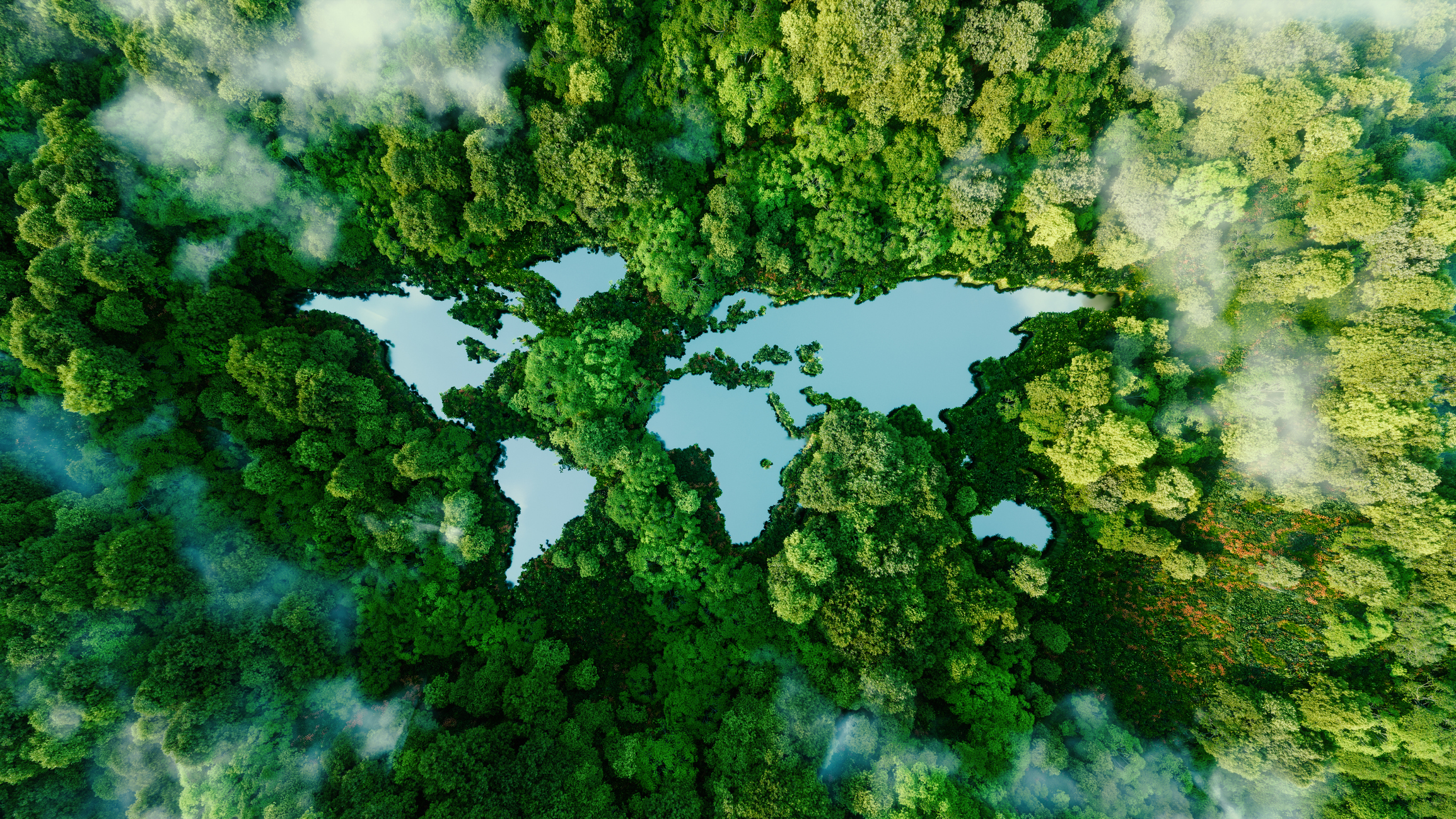 Weltkarte mit Wälder und Wasser